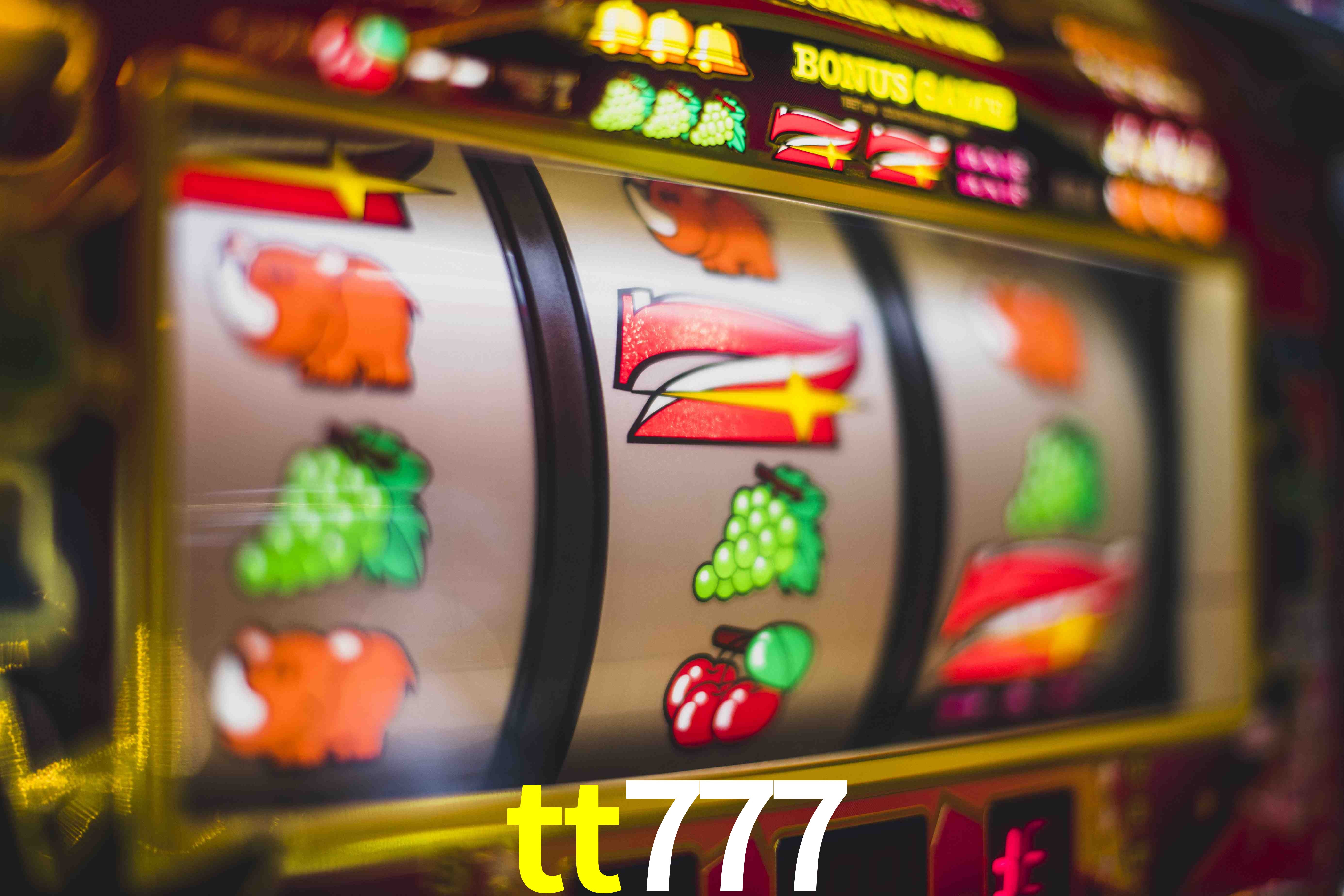 VIP Casino tt777